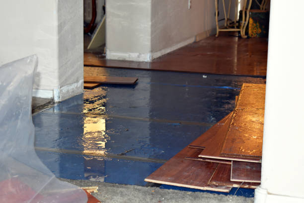Professional Sewage Cleanup technician working in Wrightstown, WI